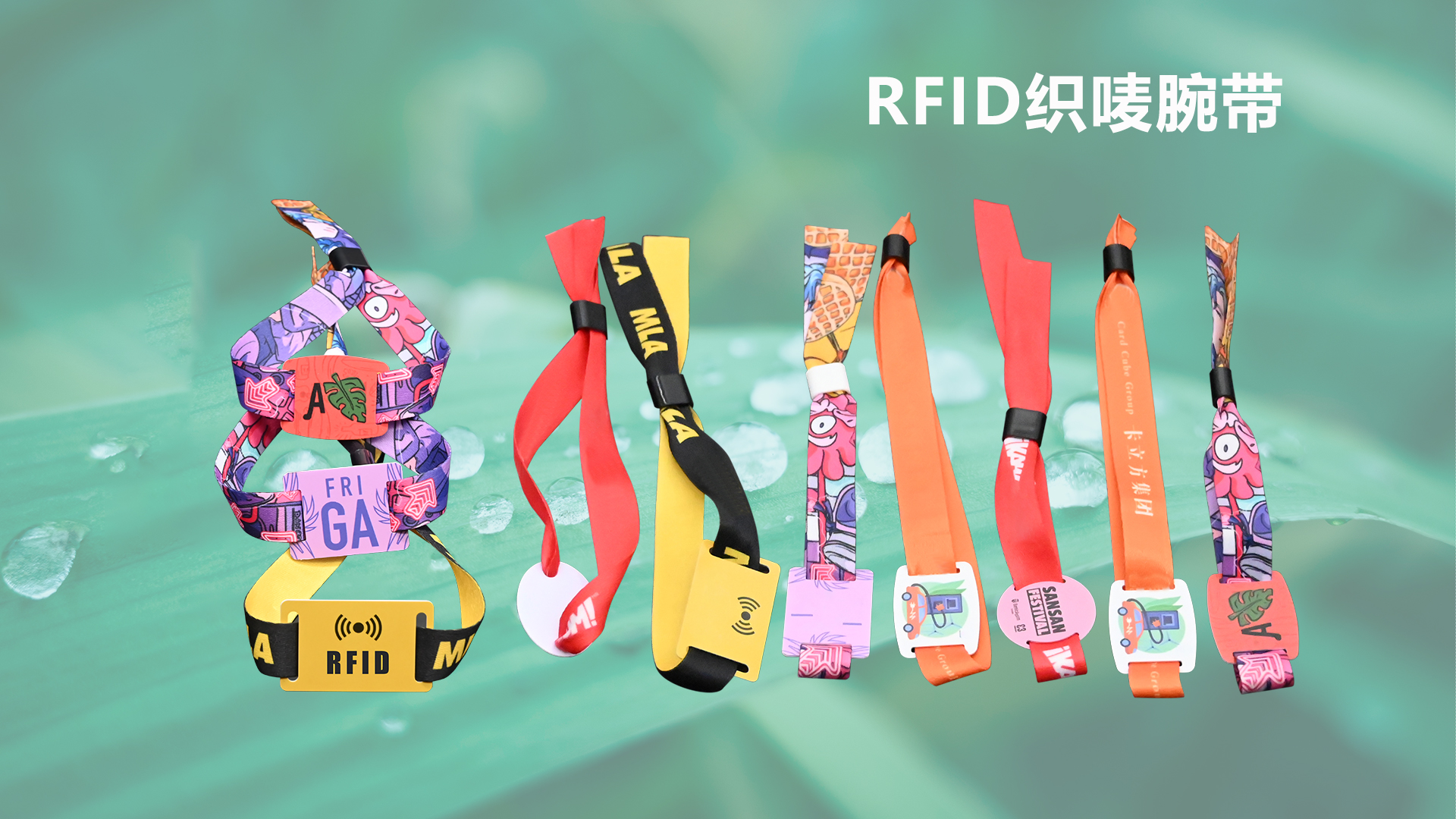 微信圖片_20250929105637_454_127